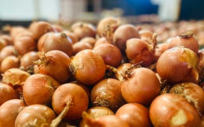 Según el Ministerio de Agricultura de España, la cebolla lideró el incremento de los precios en origen durante el año 2022