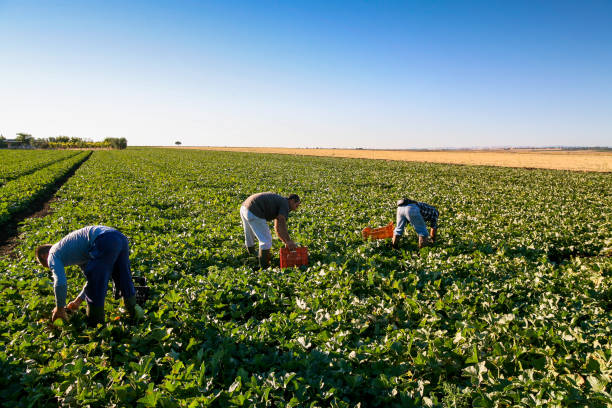 Agricultores