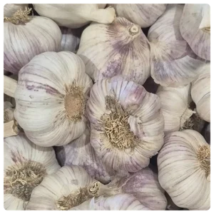 Ajos de la comarca de Huetor