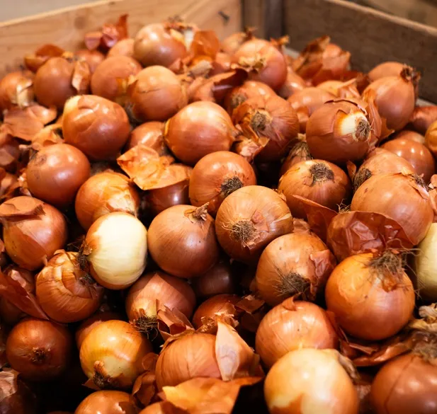 Cebollas