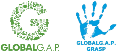 Logotipo Global G.A.P. Gamper Exportaciones